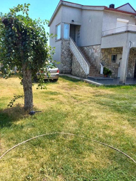 Auberge de jeunesse Traveler'S Rest - Near Podgorica Airport à Mitrovici  Extérieur photo