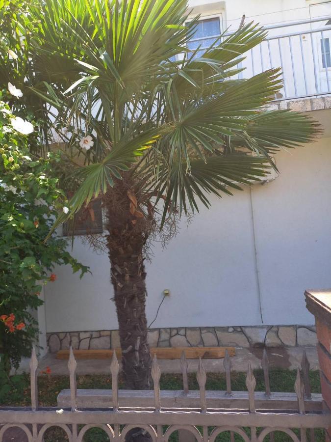 Auberge de jeunesse Traveler'S Rest - Near Podgorica Airport à Mitrovici  Extérieur photo