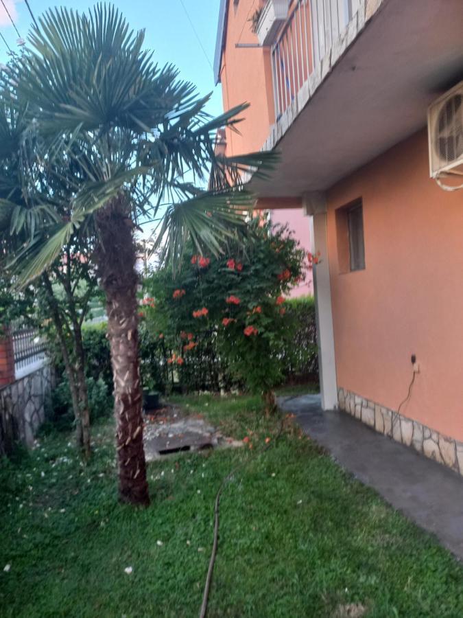 Auberge de jeunesse Traveler'S Rest - Near Podgorica Airport à Mitrovici  Extérieur photo